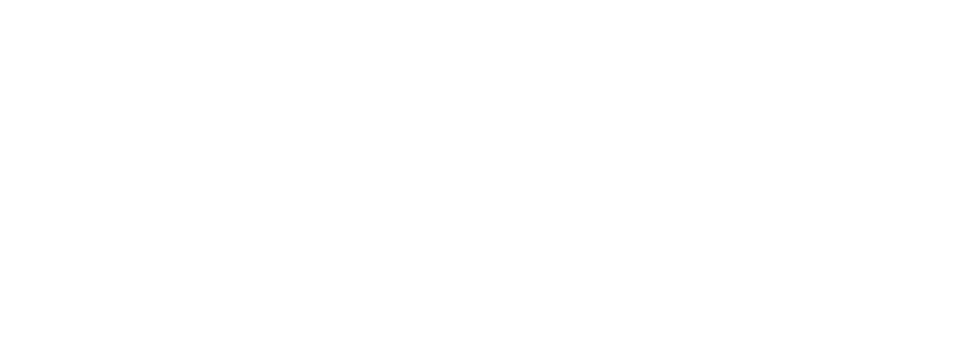 Printwell White Logo